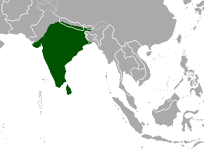 map of where Axis deer range--most of India