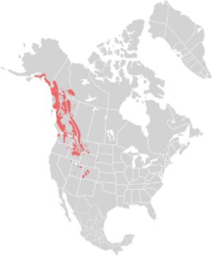 map showing the range of mountain goats in western Canada and the Rockie Mountains of US 
